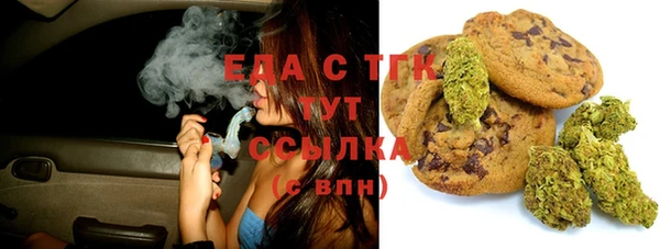 индика Волосово