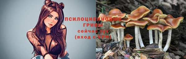 дмт Волоколамск