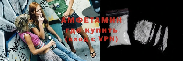 индика Волосово