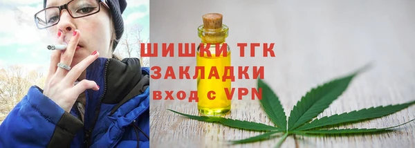 индика Волосово