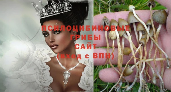 дмт Волоколамск
