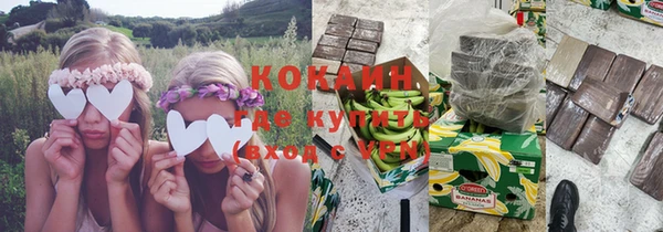 индика Волосово
