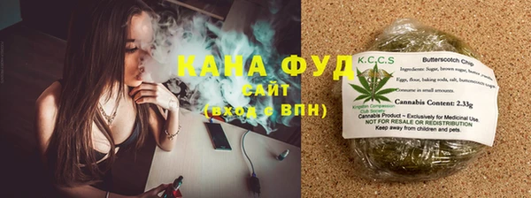 индика Волосово