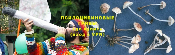 индика Волосово