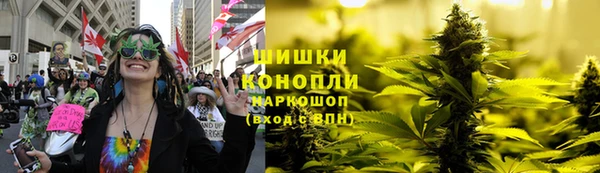 индика Волосово