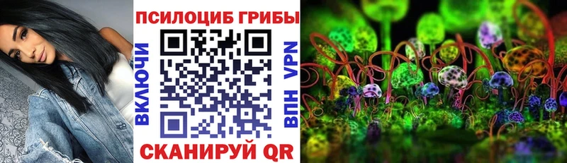 Псилоцибиновые грибы мухоморы  МЕГА вход  Щучье 